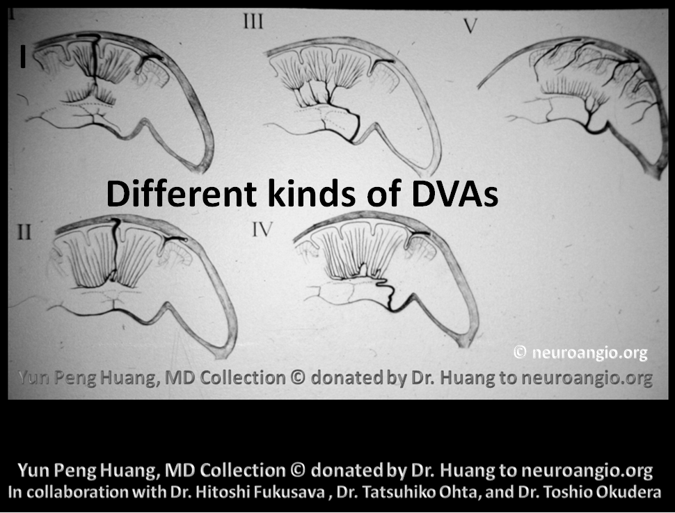 Patient Information DVA