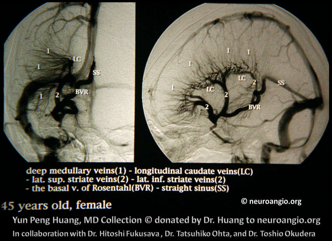 Patient Information DVA