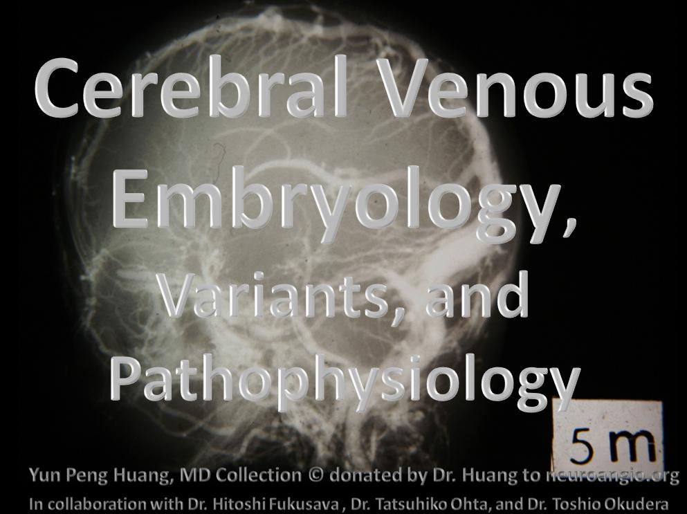 Cerebral Venous Embryology