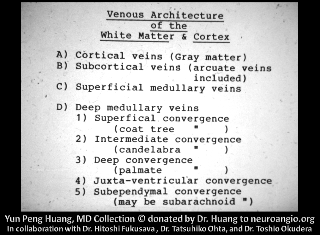 Yun Peng Huang Collection MVM DVA