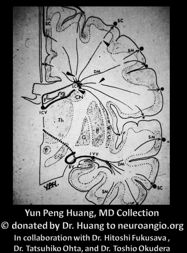 Yun Peng Huang Collection MVM DVA