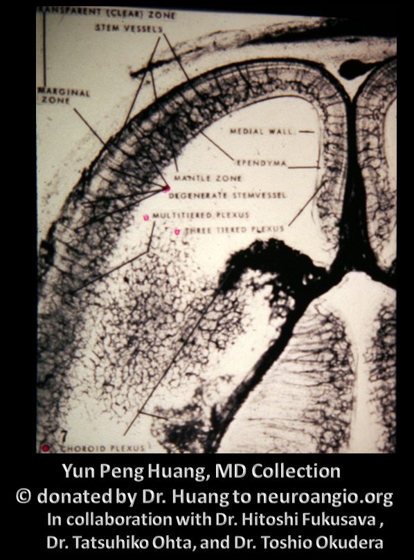 Yun Peng Huang Collection MVM DVA