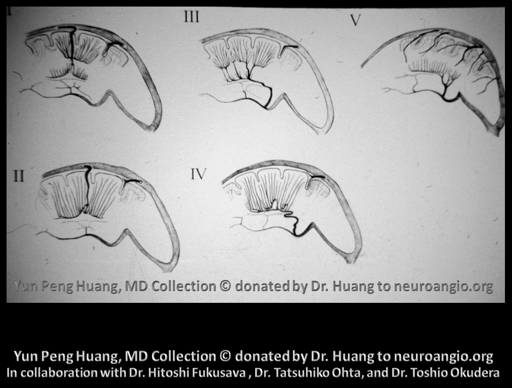 Yun Peng Huang Collection MVM DVA